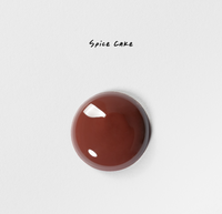ÂN-GLOSS SPICE CAKE